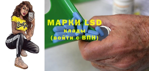 стаф Абинск
