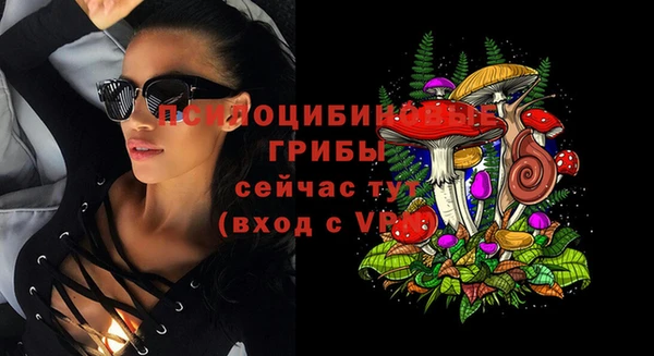 а пвп мука Пестово