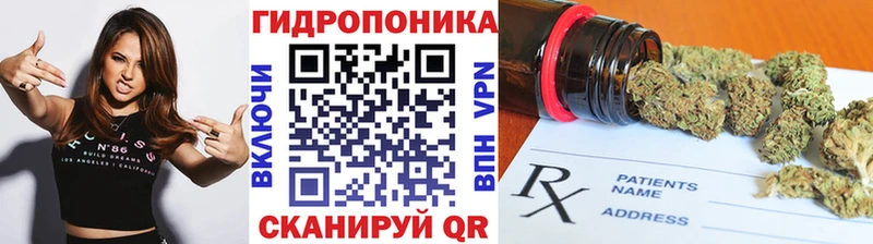 что такое наркотик Пошехонье Канабис ГИДРОПОН